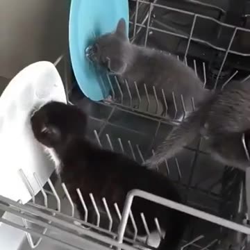 When you don’t have time to scrape the plates