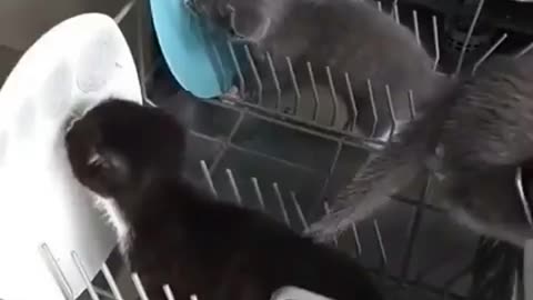 When you don’t have time to scrape the plates