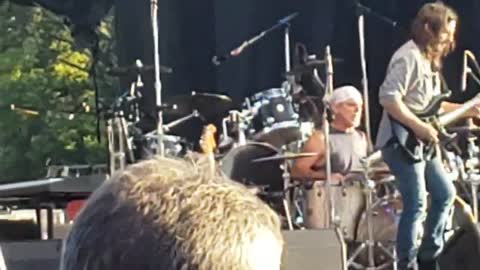 The Why Store "Halo"