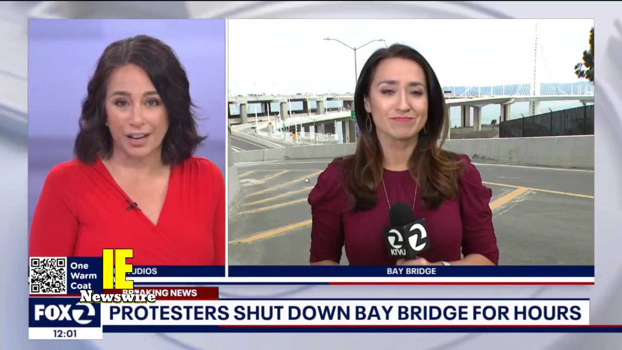 IE NEWSWIRE NUMBNUTTS EDITION11-16-23 !!!