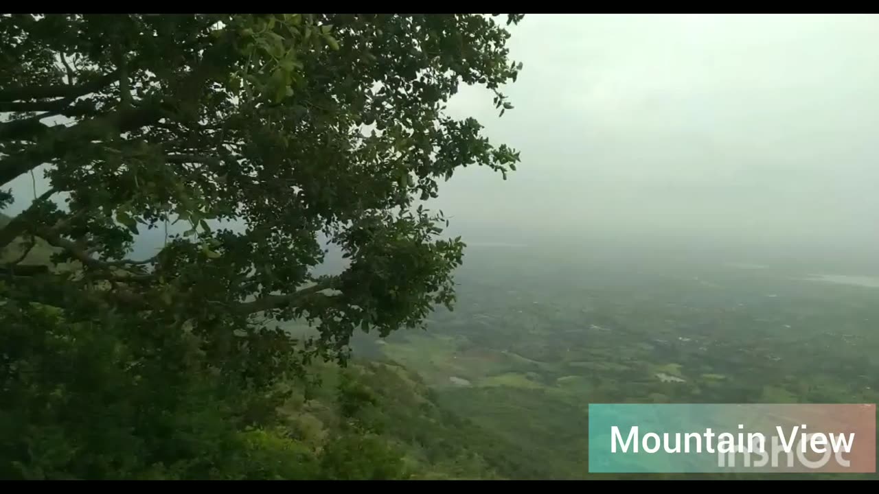 Pavallian View Mandu