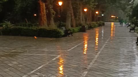 the sound of rain