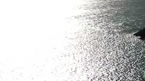 The sun is twinkling