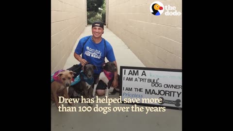 Guy Falls in Love With Pit Bull Dog So He Adopts Three More | The Dodo Pittie Nation