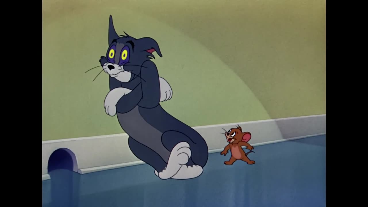 Tom and Jerry Cartoon