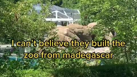 I can't believe they built the zoo from madegascar