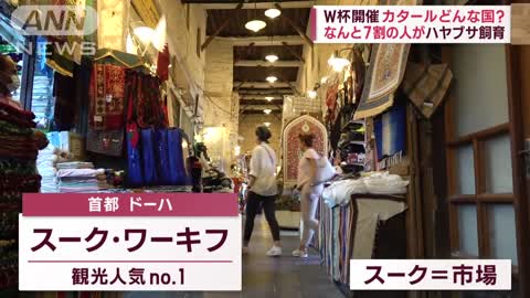 【W杯開催】カタールはどんな国 約7割の人が「ハヤブサ」を飼育 最高額は3800万円(2022年11月15日)_1
