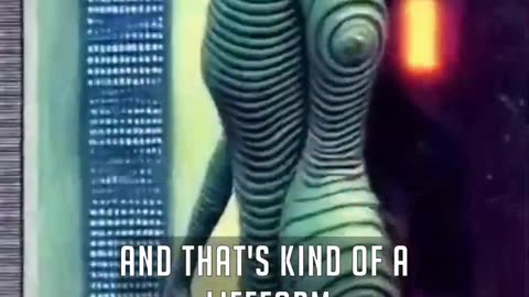 IF MACHINES RULES THE PLANET JOE ROGAN