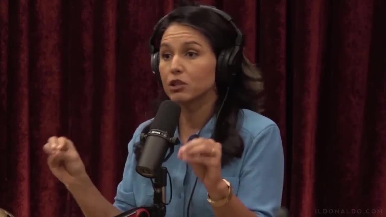 Tulsi Gabbard goes SCORCHED EARTH on her way out of Dem Party