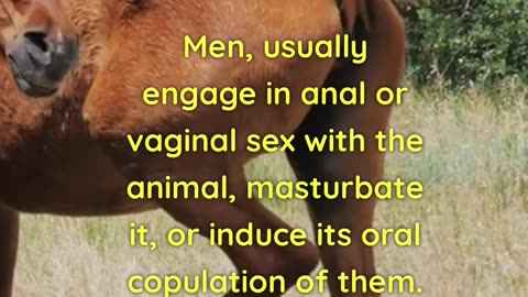 Sex with animals Pt 2 #bestiality #sexwithanimals #animalsex #mentalillness