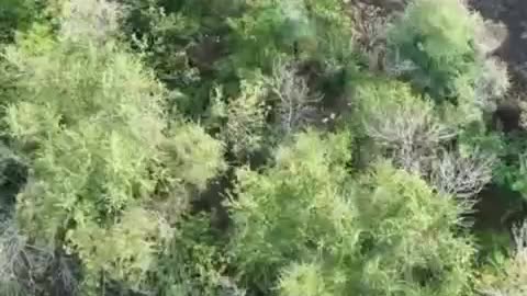 Incredible Drops Video You Shouldn't Miss