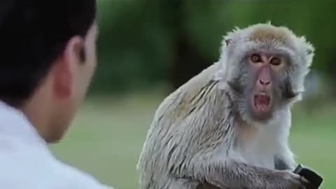 Akshay kumar best comedy Scene _ Best Funny WhatsApp status video