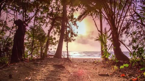 Relaxing Music, Australia, 4K