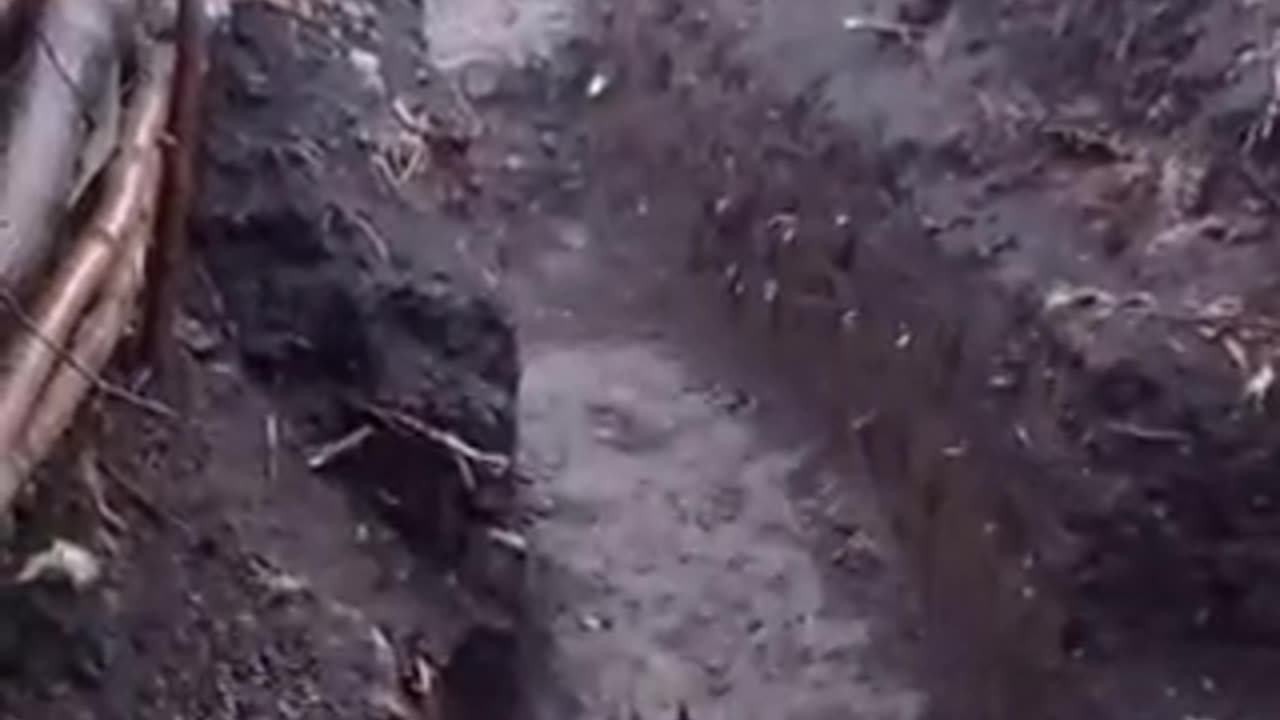 Despite the trials and adversities they face, the Ukrainian soldier