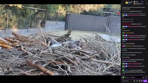 2022-12-27 (6bis) - zoo - Twitch Triskelina (version avec chat)