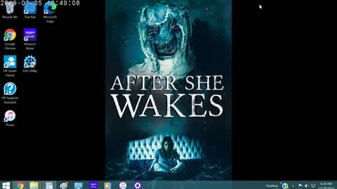 After She Wakes Review