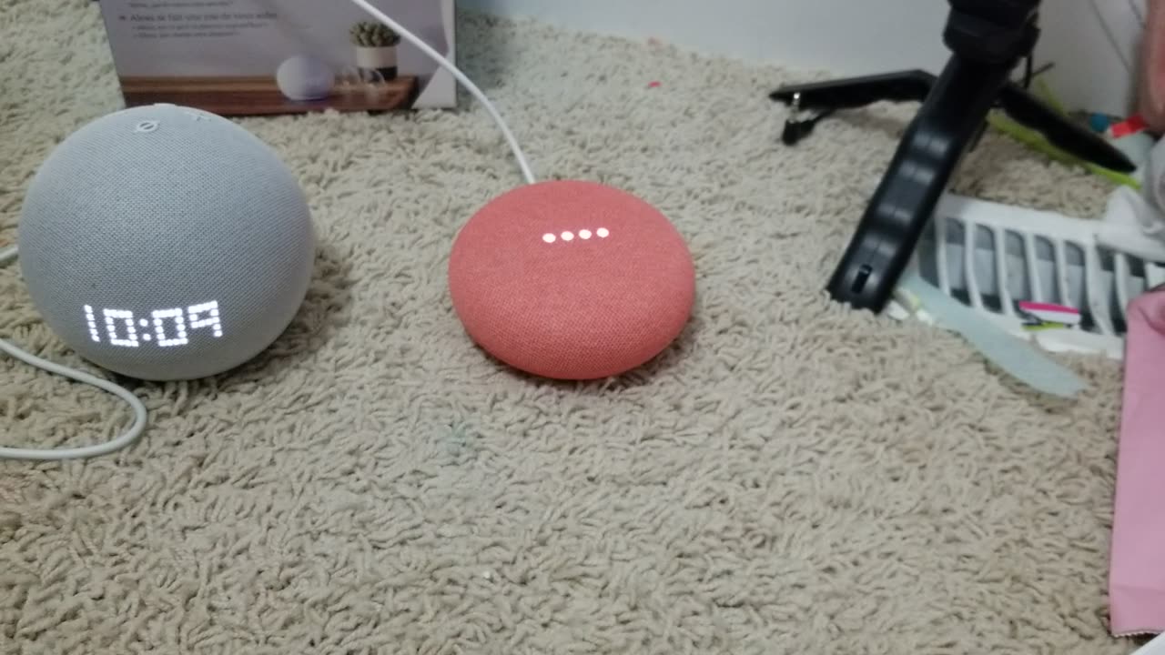 Alexa vs Nest