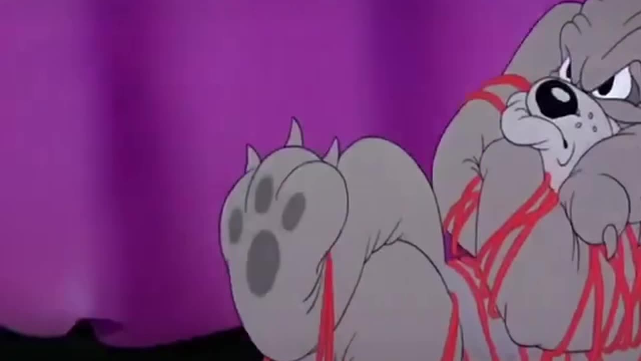 Tom and Jerry funny video