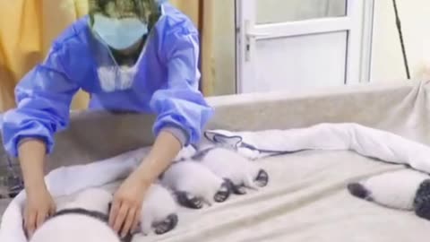 How much do you have some I think I have to get