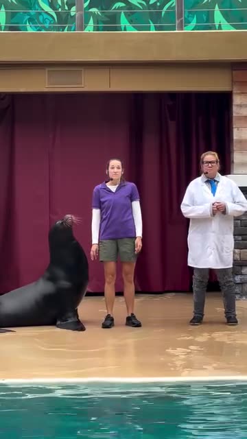 Great pose with our sea lion