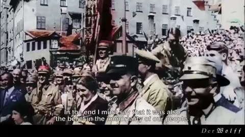 Der Wolff Video Collection