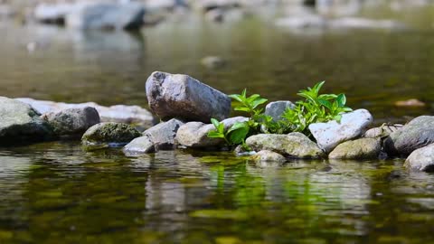 Water sound for relaxation