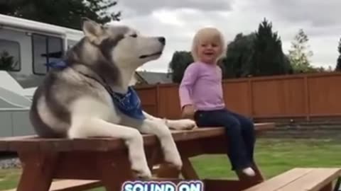 Meet a dog that talks like a human #shorts #viral #shortsvideo #video