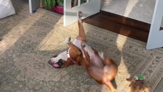 Pup Pretends to Pedal With Mom