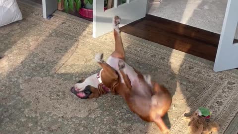 Pup Pretends to Pedal With Mom