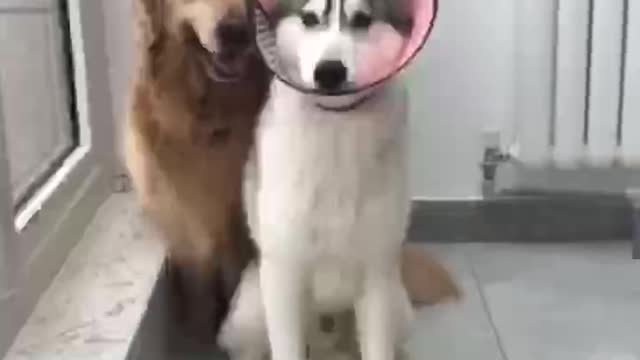 Your not my brother any more
