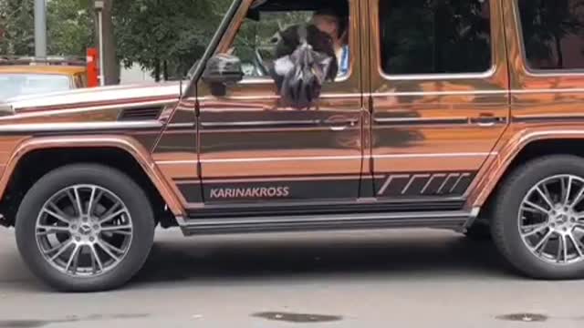 The G Wagon