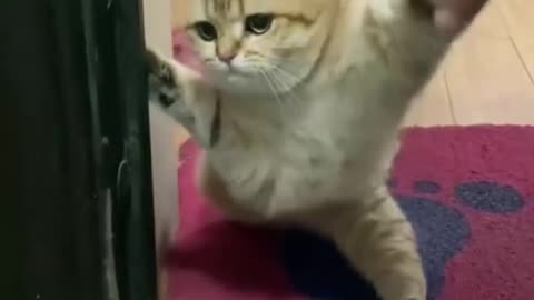 I don't want to go