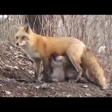 Nature at its finest!!!!