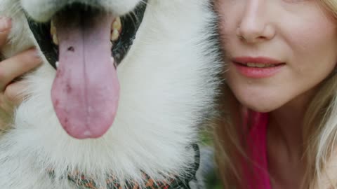 CUTE HUSKY DOG