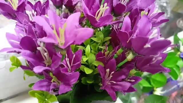 The flowers are very beautiful