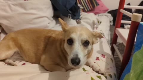 2023-05-18 (3) - jfuvxfjkk - Twitch Decheterie