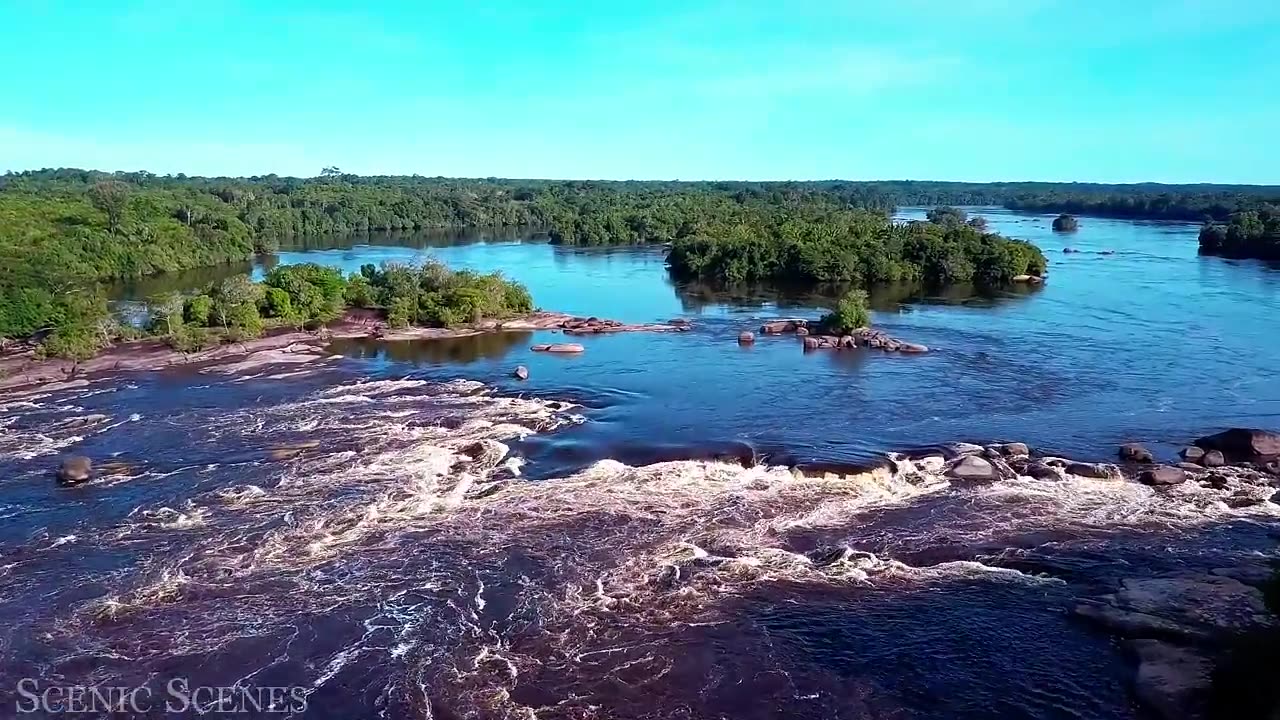 Animals of Amazon 4K - Animals That Call The Jungle Home | Amazon Relaxation Films.