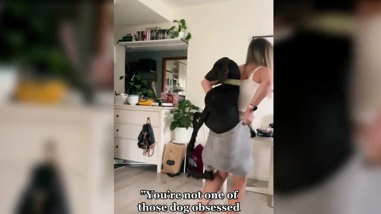 Watch "CATS FUNNY MOVEMENTS 🙃❣️