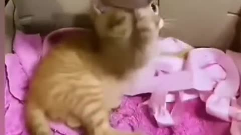 Funny