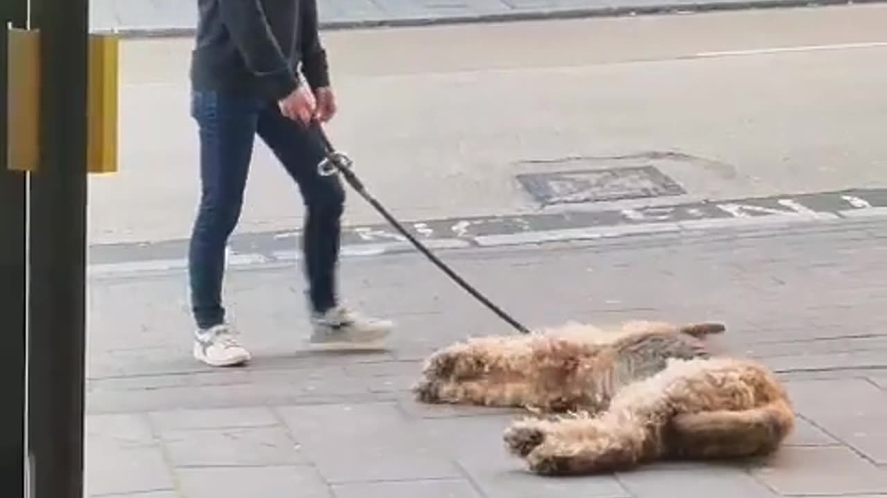 Staré zvyky nikdy neumírají.