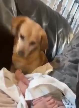 Baby needs a diaper change and I can’t stop laughing…