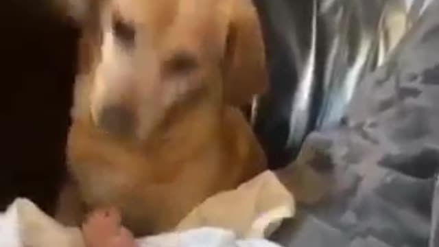 Baby needs a diaper change and I can’t stop laughing…