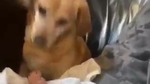 Baby needs a diaper change and I can’t stop laughing…