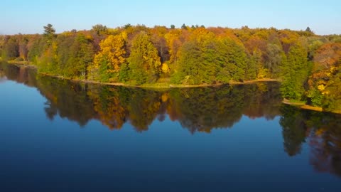 Enchanting Autumn Forests with Beautiful Piano Music