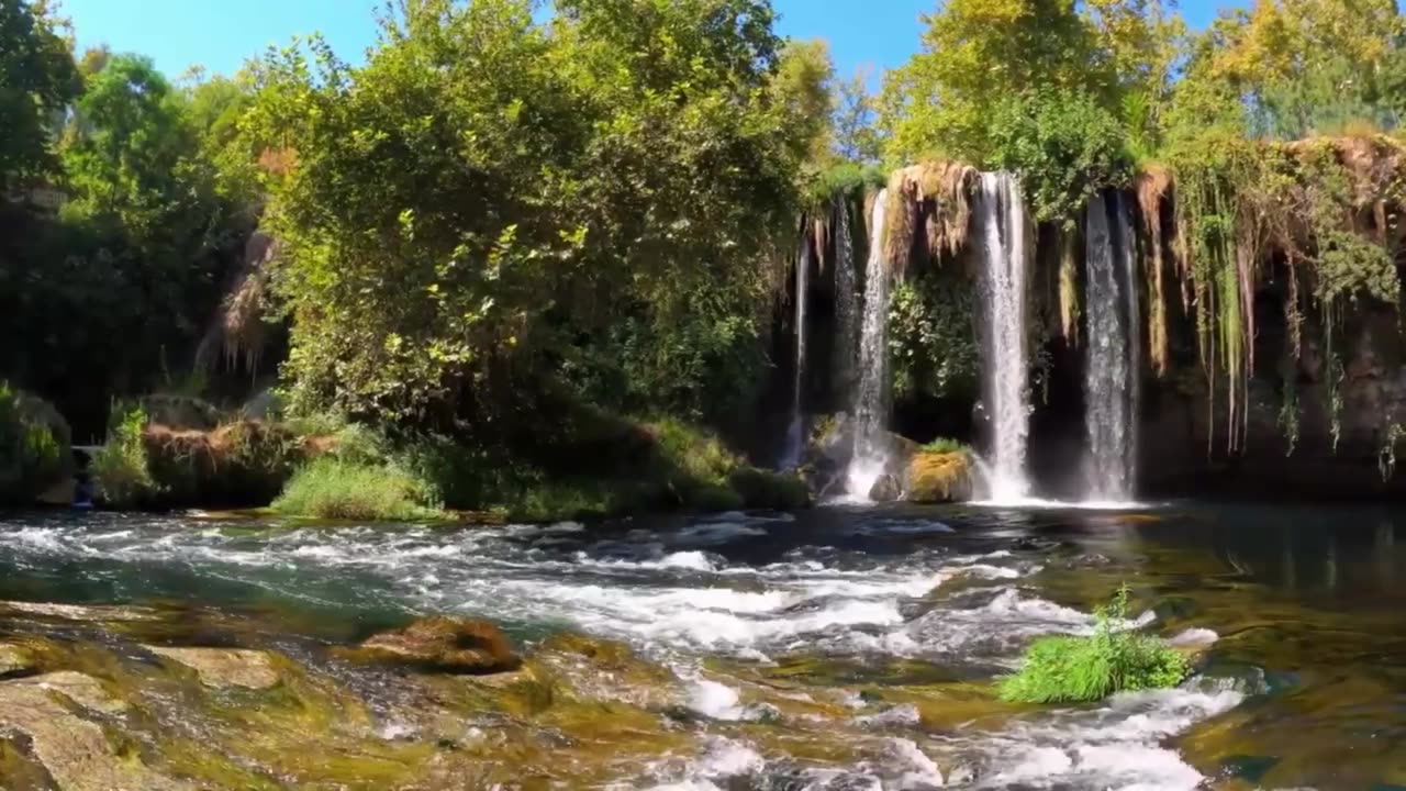 RELAXING BIRDS SINGING SOUNDS ON RIVERSIDE