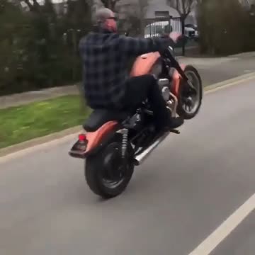 Sportster Wheelie