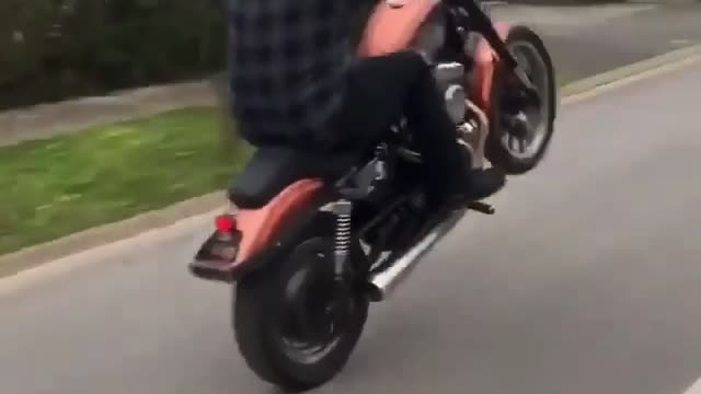 Sportster Wheelie