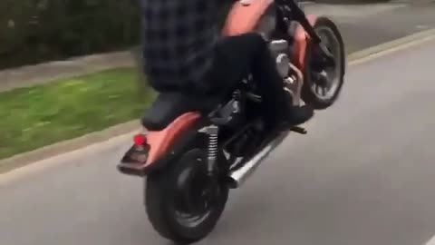 Sportster Wheelie