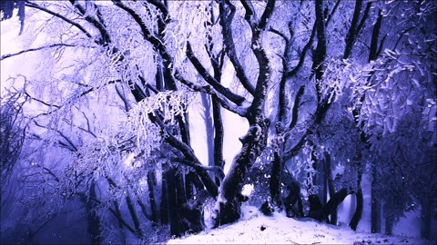 purple snow on a tree