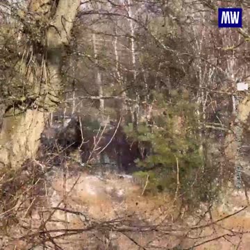 A Russian assault detachment